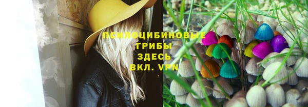 герыч Жердевка