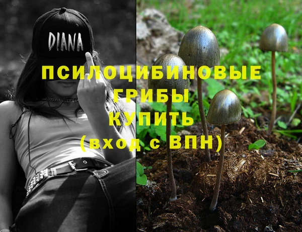 таблы Железноводск