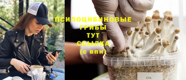 таблы Железноводск