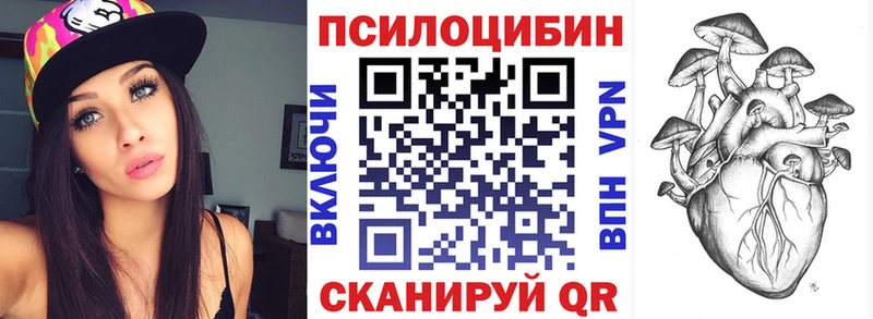 дарнет шоп  Каменка  Псилоцибиновые грибы Magic Shrooms 