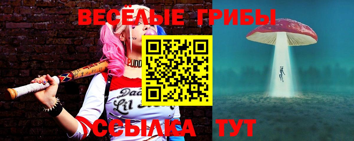 Галлюциногенные грибы Magic Shrooms  Каменка 