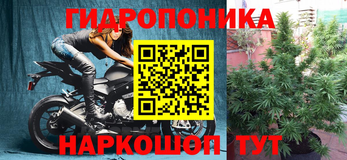 Бошки марихуана план Каменка